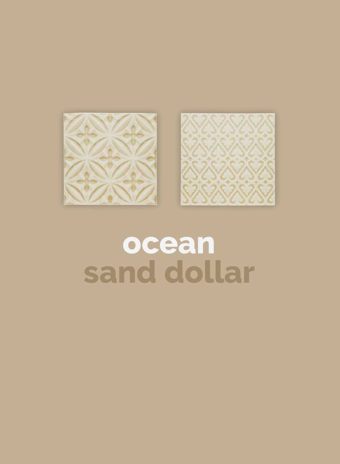adex-ocean-sand-dollar